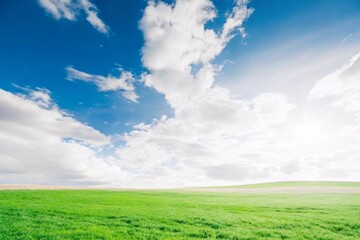 Obraz premium Fresh grass with sky background