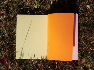 冬の公園の枯れた落ち葉と暖色い色紙の風景