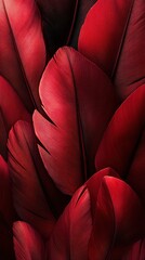 Obraz premium Rich red feathers background texture.