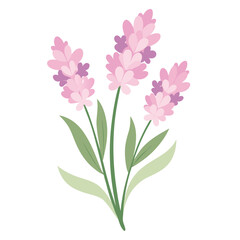 Obraz premium A delicate arrangement of Various tree flowers in full bloom, featuring soft pink petals with intricate details 