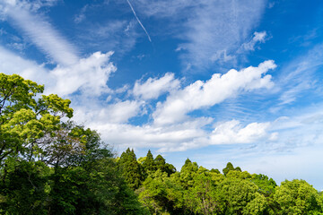 Obraz premium 宮崎県宮崎市にある平和台公園の風景