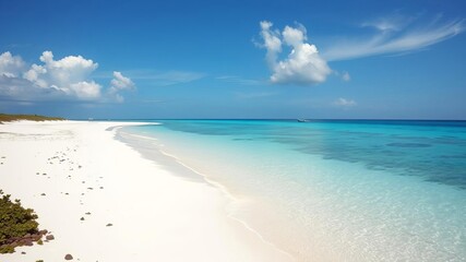 Fototapeta premium White sandy beach and crystal clear blue ocean on the coast of Aruba, creating a tropical paradise, tropical, beach