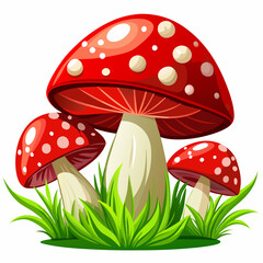 Mushroom Vector White Background