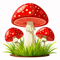 Mushroom Vector White Background