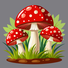 Mushroom Vector White Background