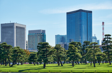 Obraz premium Skyscrapers of Marunouchi district, viewed through the Kokyo Gaien garden. Tokyo. Japan