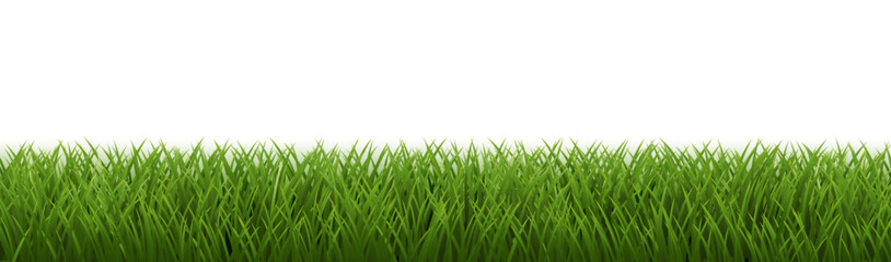 Fototapeta premium eGreenGrassBorderAndWhiteBackground_10_M_241212
