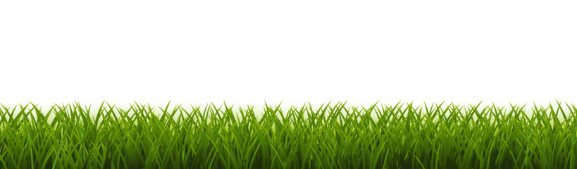 Obraz premium Green Grass Border White Background