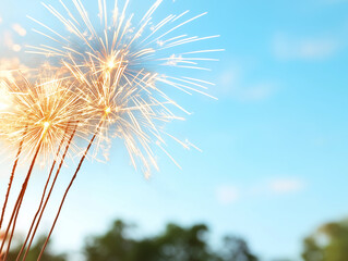 Fototapeta premium red fireworks