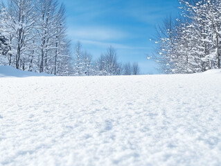 Fototapeta premium sfondo invernale