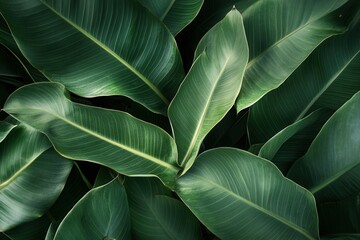 Fototapeta premium Lush green leaves creating a vibrant, natural backdrop.