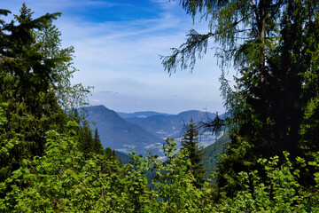 Green trees framing blue sky with white clouds over mountains on a spring day in the Bavarian Alps of Germany near the Eagle's Nest.