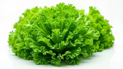 Obraz premium Fresh Green Curly Lettuce Close-Up, Crisp Leaves for Healthy Cooking, Salad Ingredients, Vegan and Vegetarian Food, Organic Produce Photography