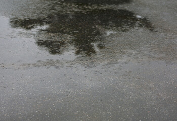 Obraz premium Raindrops falling on the ground, close-up