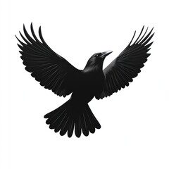 Fototapeta premium Black crow in flight, wings spread wide, isolated on white.