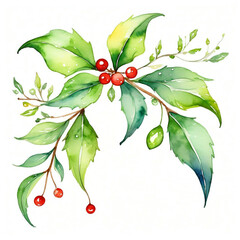 Mistletoe with red fruit Christmas decor watercolor with white background