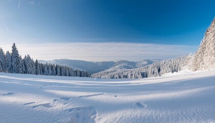 Obraz premium Stunning panorama of snowy landscape in winter in the Black Forest