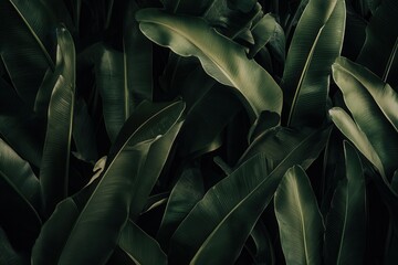 Lush green leaves create a serene, tropical ambiance.