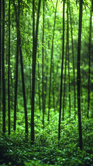 Obraz premium Lush bamboo forest with dense greenery in tranquil natural setting