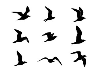 Set of black flying bird silhouettes vector image
