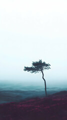 Misty Seascape Illustration: Lone Tree