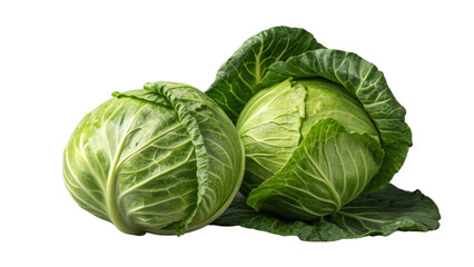 Fototapeta premium cabbage isolated on white. two Fresh Green Cabbage - A Versatile and Healthy Vegetable.