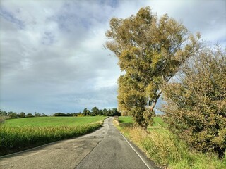 Panorama in campagna 