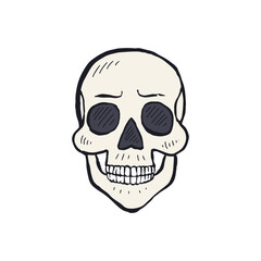 Fototapeta premium Hand drawn sketchy human skull isolated on white background. Doodle skeleton head tattoo design