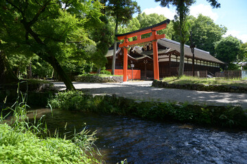 上賀茂神社　ならの小川と庁屋　京都市北区