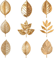 Obraz premium golden leaves