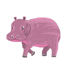 Fototapeta premium hippopotamus
