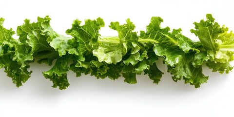 Obraz premium Fresh green lettuce leaf isolated on a white background, highlighting the concept of healthy eating and its importance in a nutrition plan for a balanced diet.