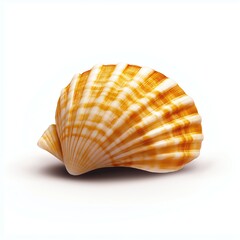 Fototapeta premium Close-up image of a seashell with vibrant orange and white stripes, showcasing its natural beauty and intricate details. Ideal for ocean and coastal themes.