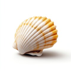 Close-up of a seashell with intricate patterns and warm hues. Perfect for beach themes, nature-inspired designs, and coastal decor projects.