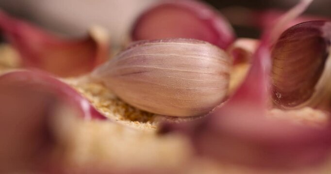 dehydrated garlic fruits for cooking, dried spices from very small pieces of garlic fruits closeup