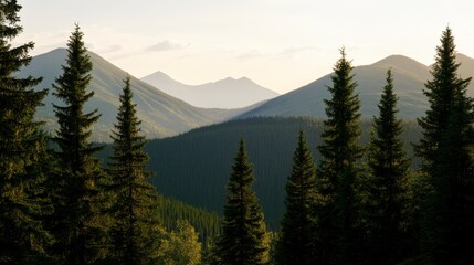 Majestic Mountain Scenery: A Tranquil Forest View of Misty Peaks