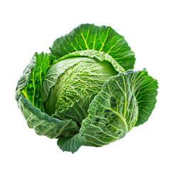 Fresh Green Cabbage Isolated on Transparent Background Perfect for Garden Fresh Salads and Healthy Organic Dishes