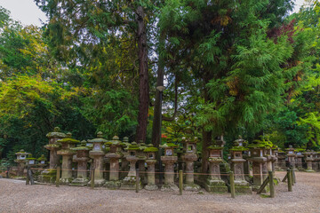 Kasuga-Taisha is Shinto shrine in Nara Prefecture in Japan and registered as UNESCO World Heritage...