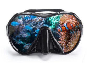 Underwater landscape with tropical fish reflected in mask glasses for scuba diving.