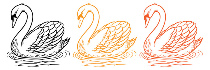 Fototapeta premium A vector of a swan with an elegant, curved neck, detailed feathers, and subtle ripples in the water beneath it. Black line art with negative space details.