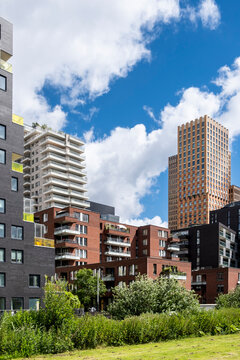 This image showcases a vibrant urban landscape featuring a mix of contemporary buildings and greenery under a bright blue sky, highlighting modern architecture's diversity in Amsterdam