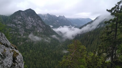 Fototapeta premium Misty Mountain Valley Landscape