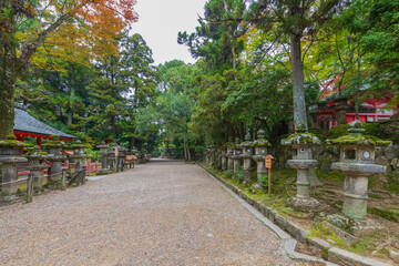 Kasuga-Taisha is Shinto shrine in Nara Prefecture in Japan and registered as UNESCO World Heritage...