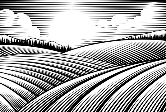 A rolling hills rural landscape drawing in a vintage woodcut style