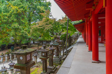 Kasuga-Taisha is Shinto shrine in Nara Prefecture in Japan and registered as UNESCO World Heritage...