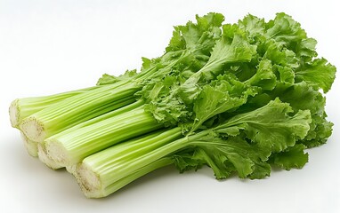 Fresh green celery stalks with vibrant leaves on white background.