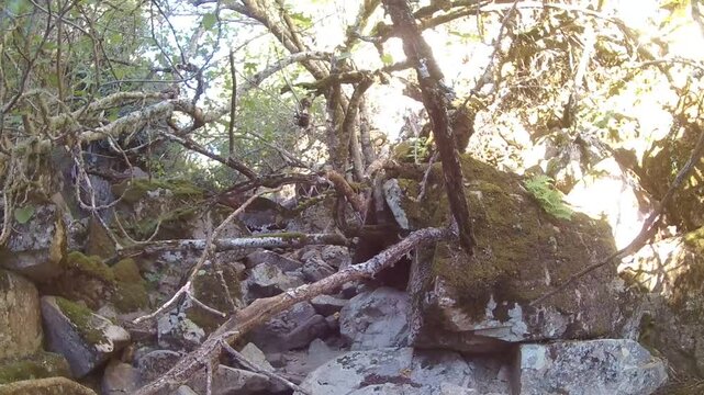 Gola  Calamixi Teulada Sud Sardegna