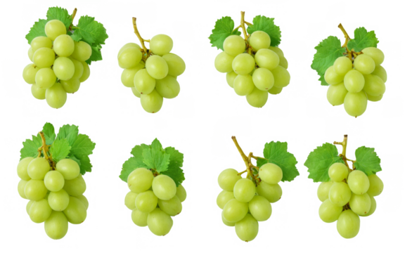 Collection six bunches green grapes are arranged a of fresh