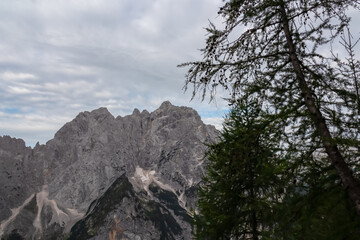 Coniferous forest framing scenic view of rugged mountain peak Prisanik in remote Julian Alps seen from Triglav national park, Vrsic pass, Slovenia. Wanderlust wild Slovenian Alps. Steep sharp ridges