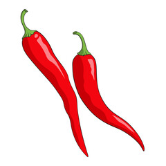 Red Chile pepper, spicy cayenne pepper vector illustration